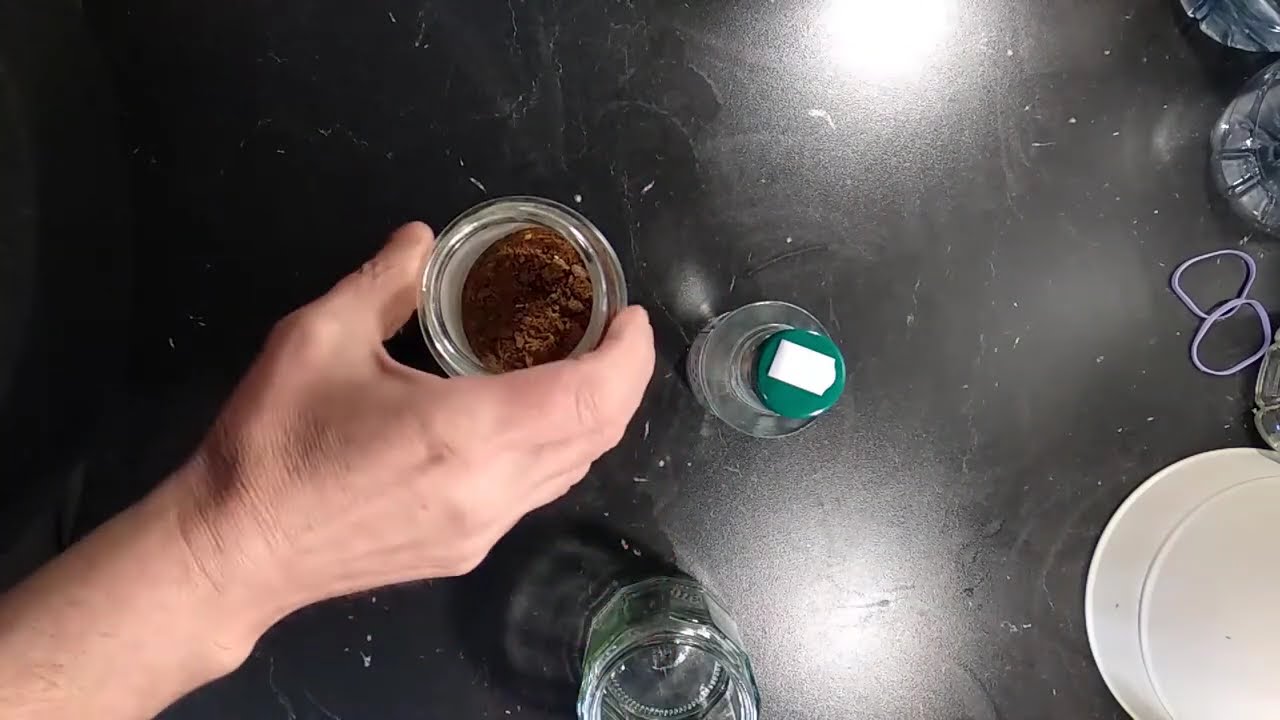 Jak zrobić nalewkę z Propolisu? 🐝 U Zakopca