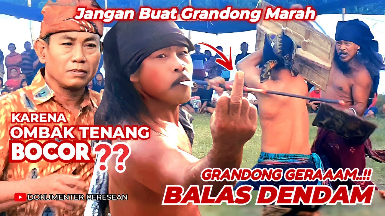 OMBAK TENANG BOCOR❓️ GRANDONG MARAH BALAS DENDAM VS BALOK SELANDUNG | PERTARUNGAN SENGIT