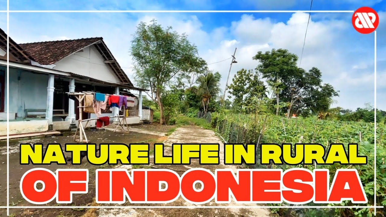 RURAL LIFE IN INDONESIA, PEACEFUL AND NATURE VILLAGE