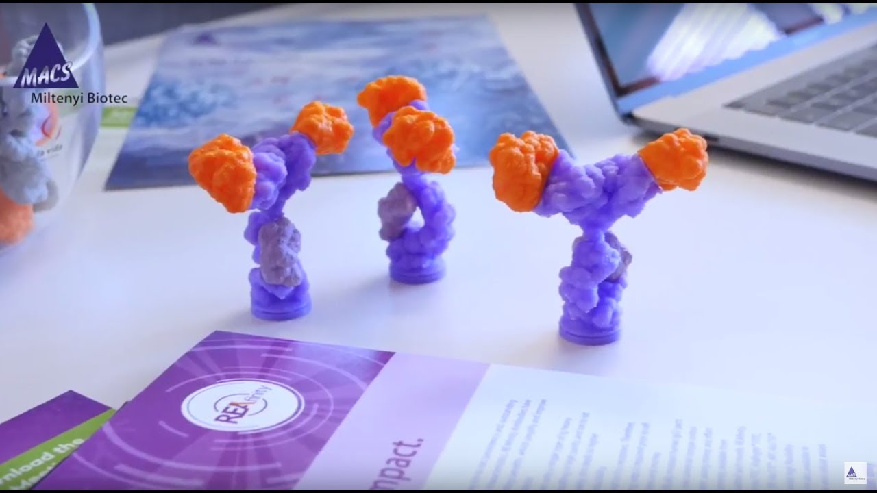 Recombinant antibodies – Reproducibility crisis