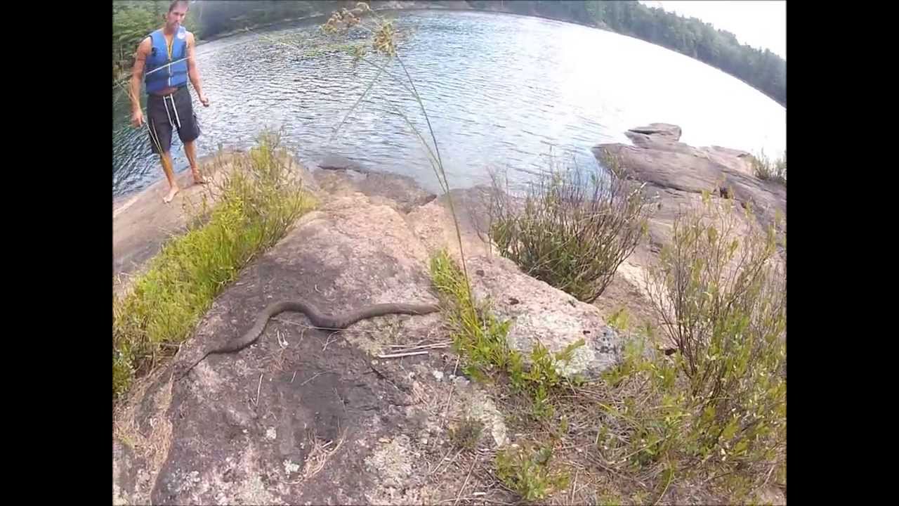Gopro: Camping