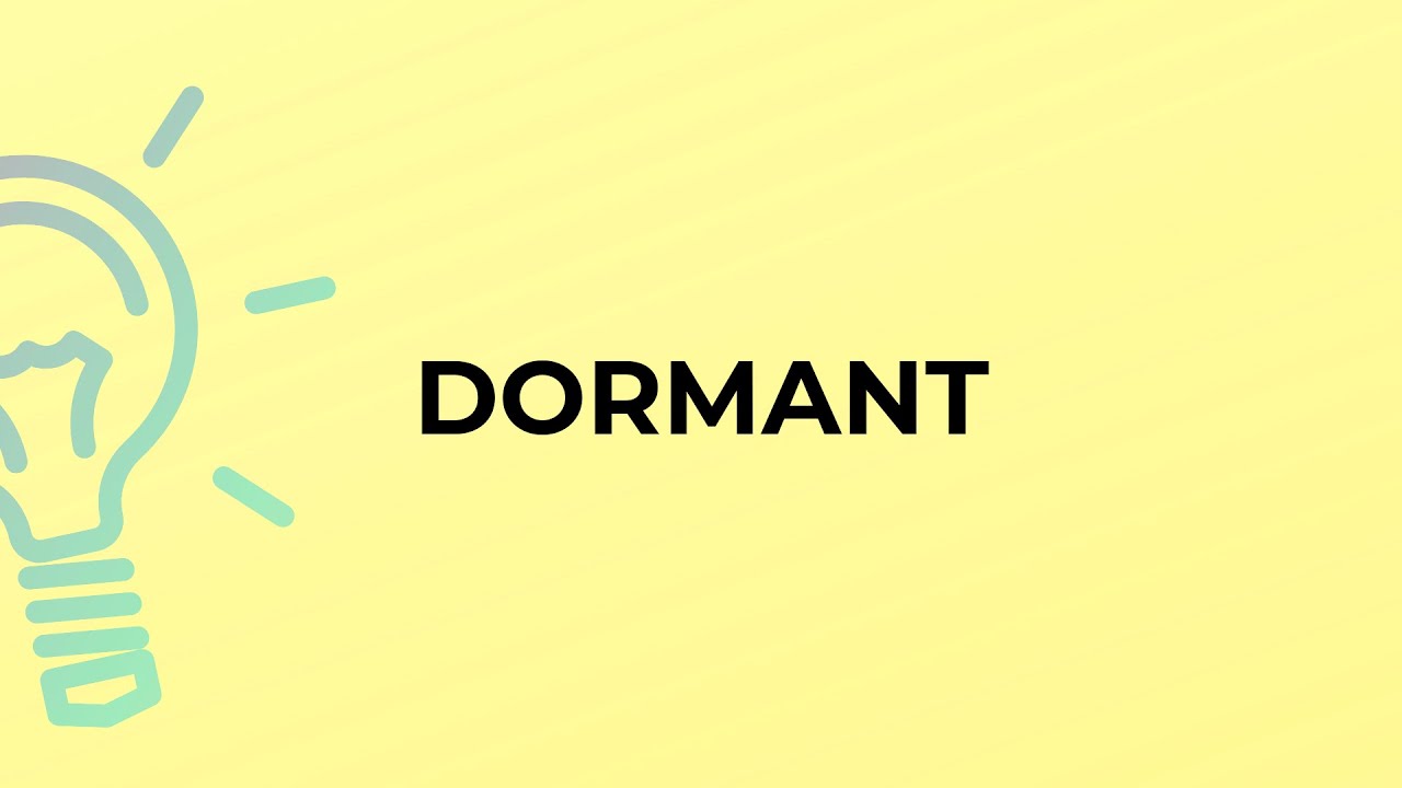 What is the meaning of the word DORMANT?