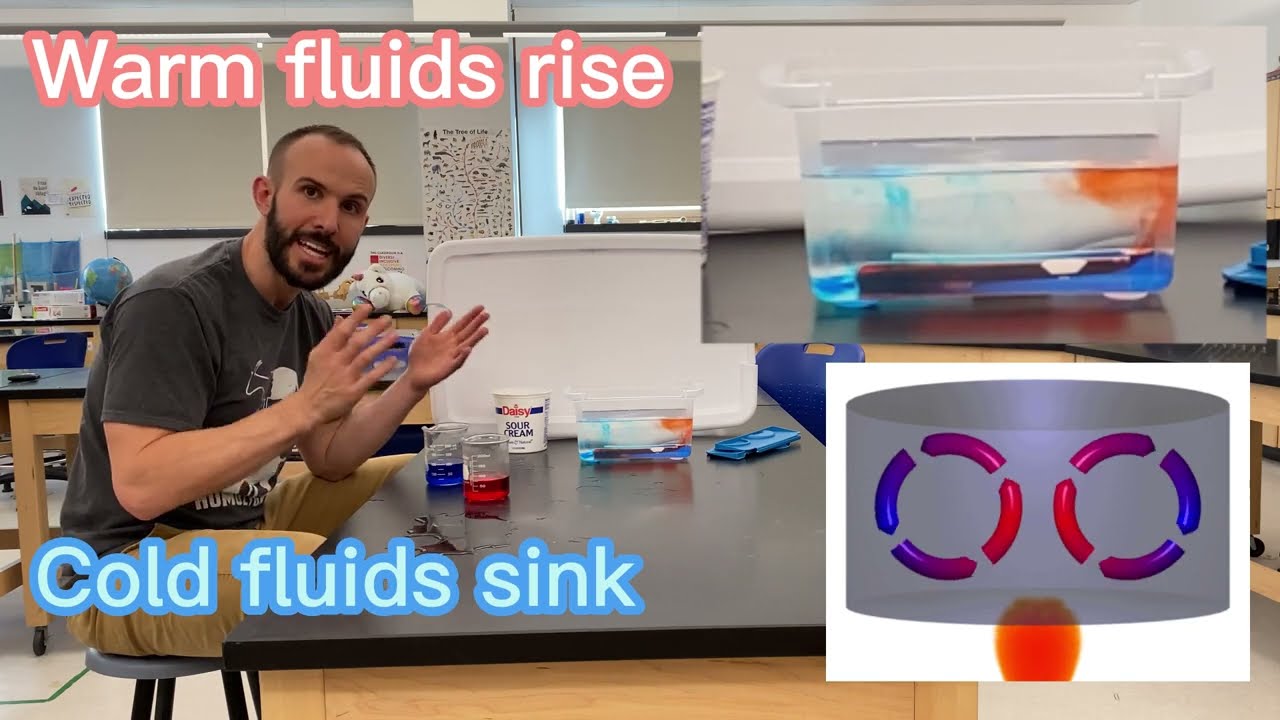 Colorful Convection Science Experiment for Middle School #STEAM
