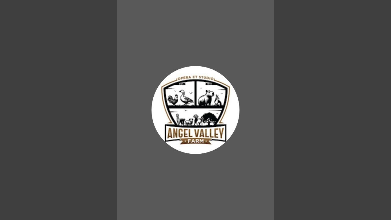 Angel Valley Farm &ndash; Live Replay