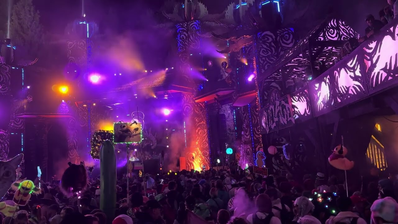 AHEE @ Shambhala 2024 (Village)