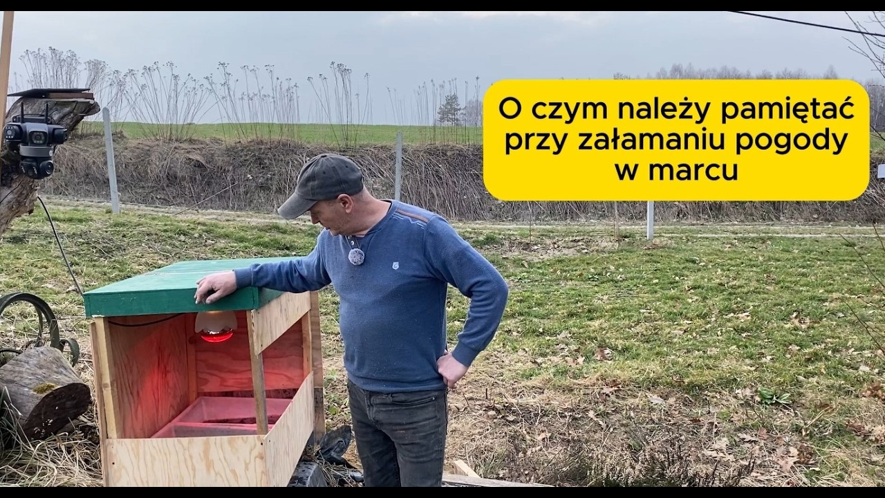 O czym należy pamiętać przy załamaniu pogody w marcu. #bee #beekeeping  #beekeeper