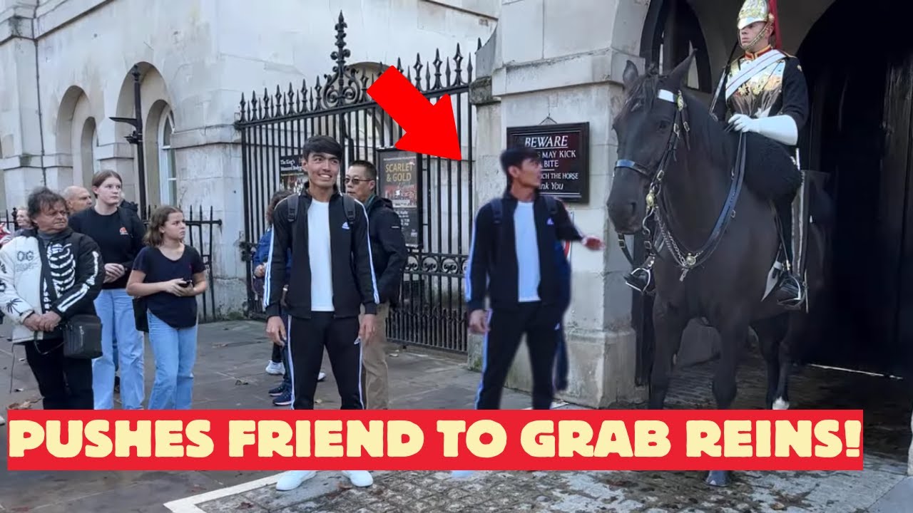 Boy Pushes Friend to Pull The Horse Reins - See What Happened NEXT!
