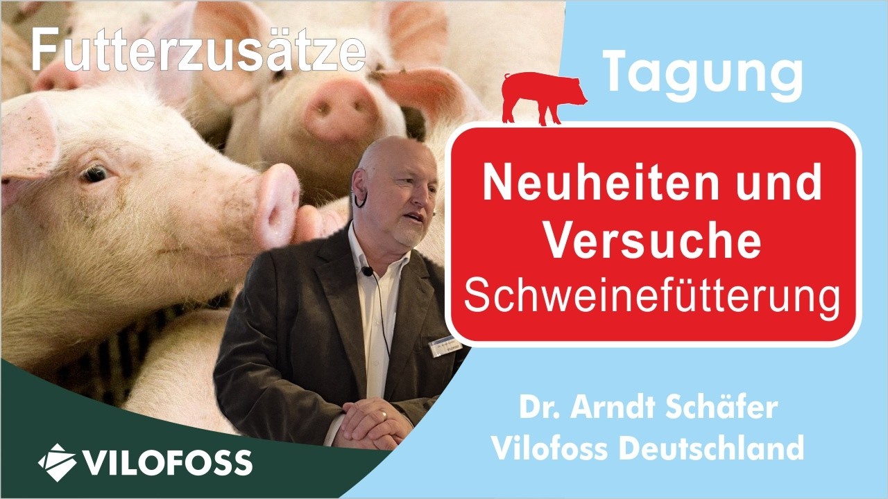 #3 Süßstoff, Aromen, Versuche - Neuheiten Schweinefütterung - Dr. Schäfer Vilofoss 11-2025