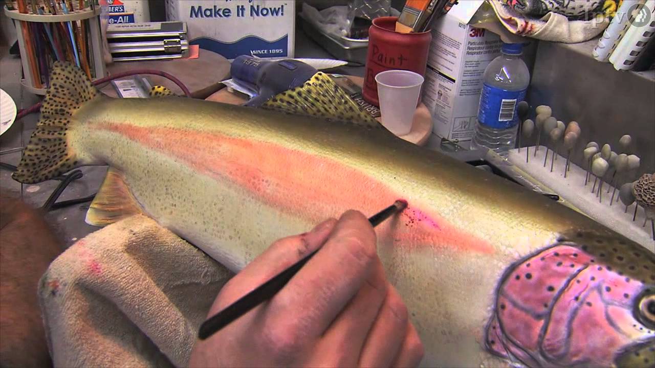 Taxidermy Gives Creatures New Life | Iowa Outdoors