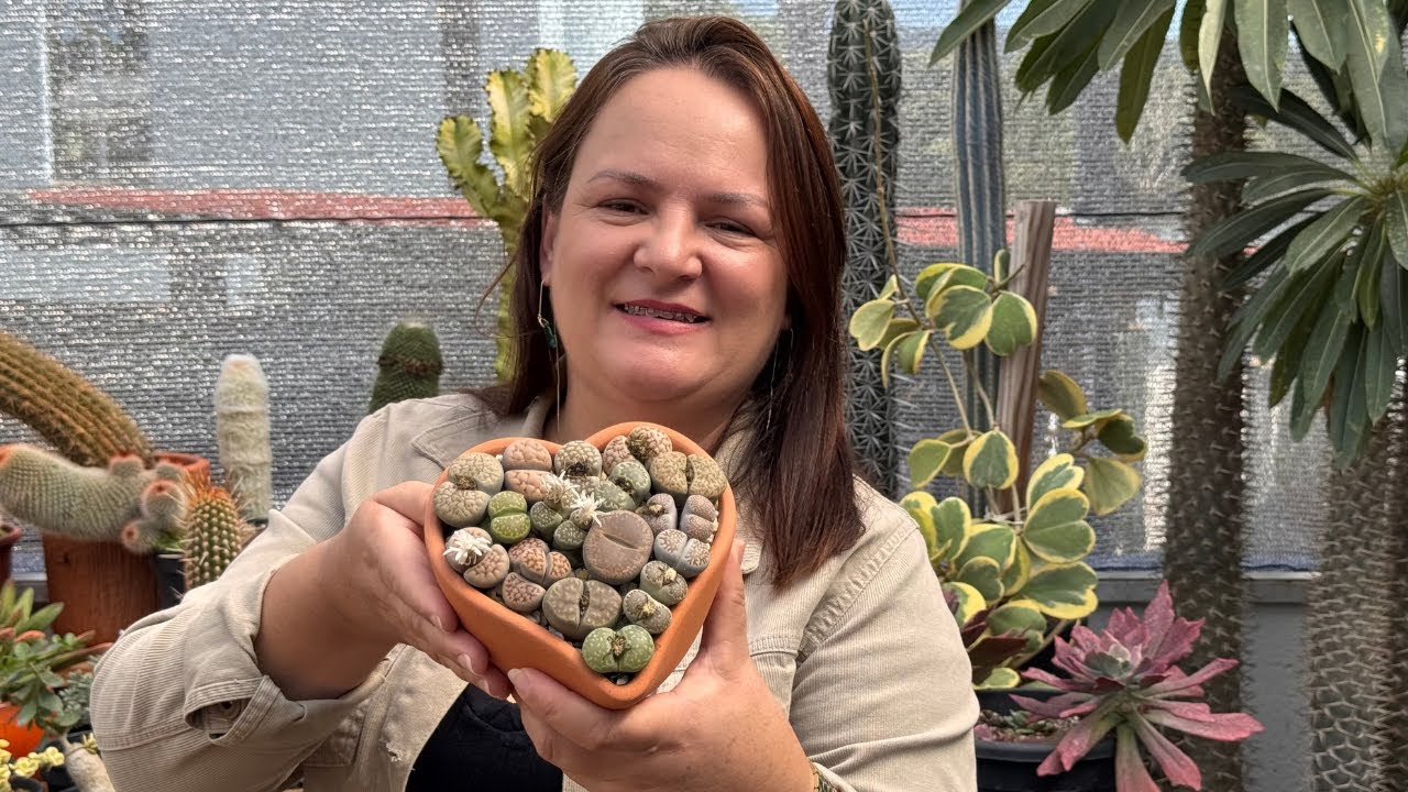 A suculenta que imita pedra – veja como montamos nosso vaso com Lithops