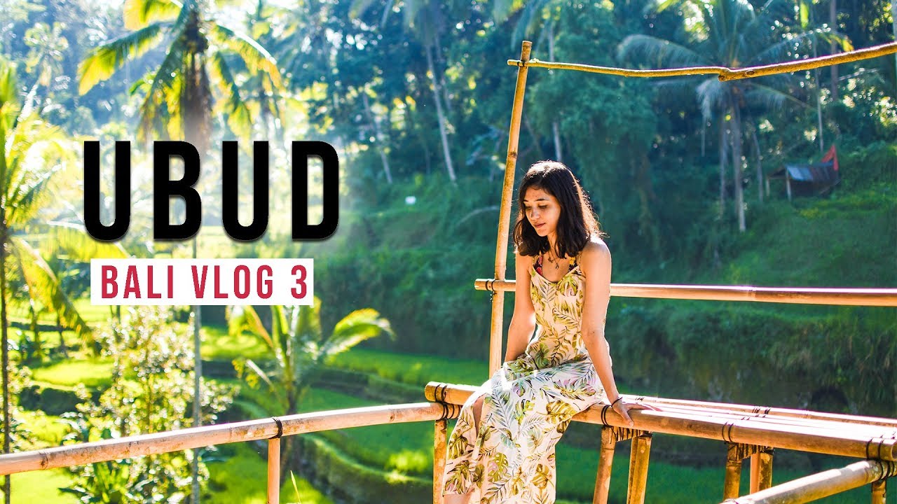 Ubud, Padang Padang Beach, Living in Ubud! | Solo Girl In Bali, Indonesia! Bali vlog #3 |