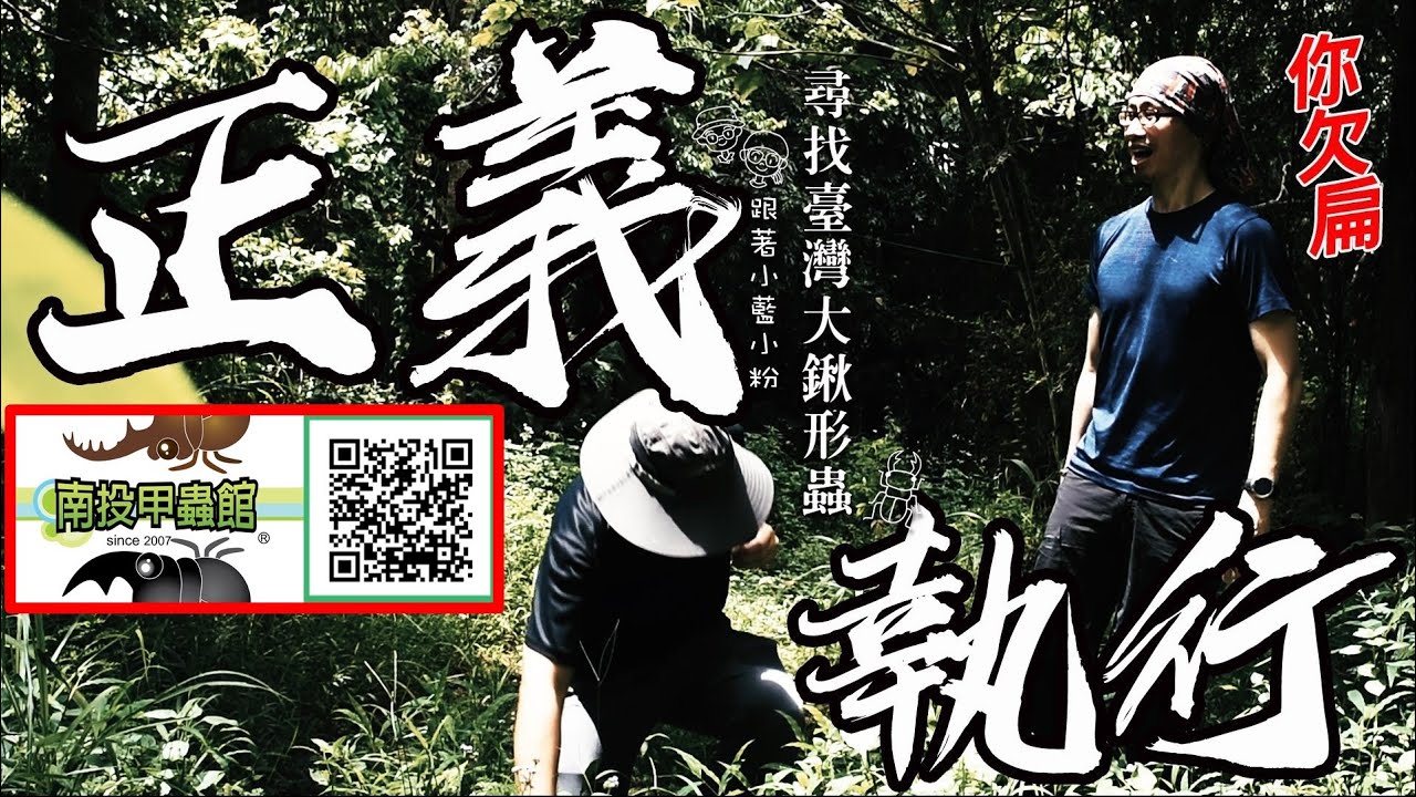 【尋找台灣大鍬形蟲】上集