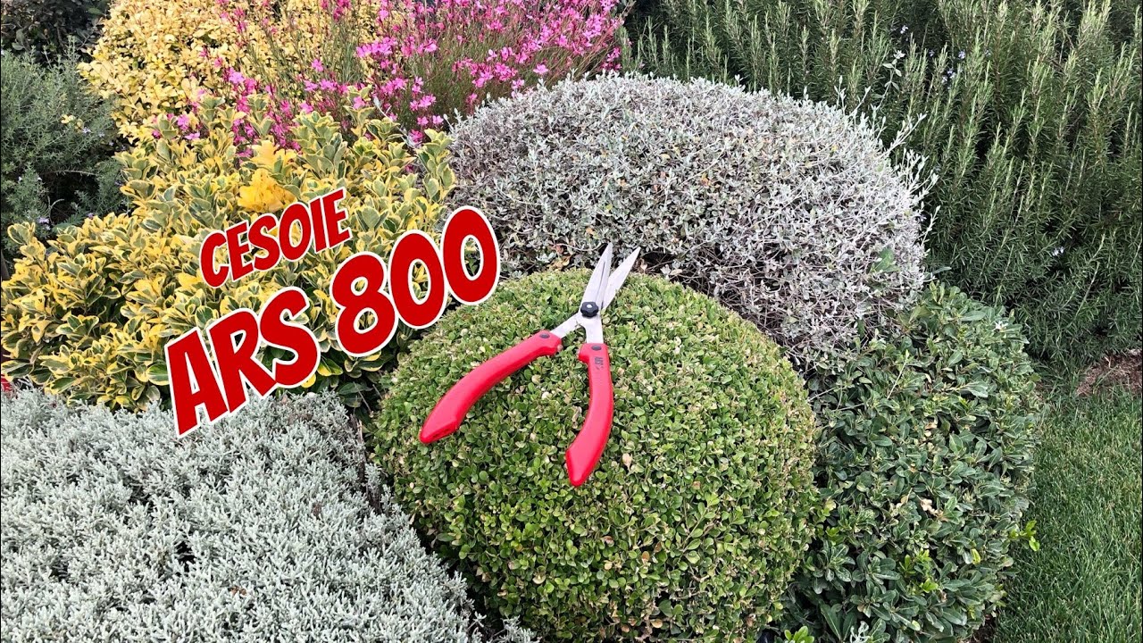 Forbicioni cesoie professionali Ars 800 per siepi