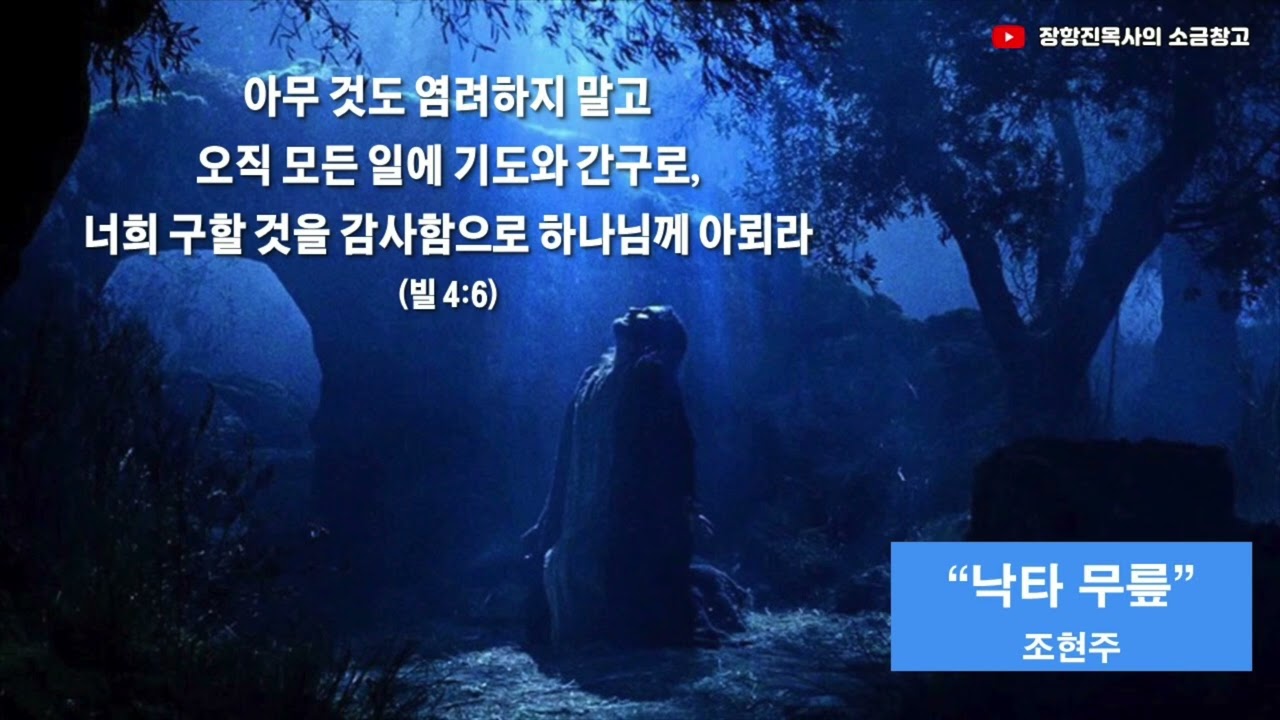 낙타 무릎 조현주