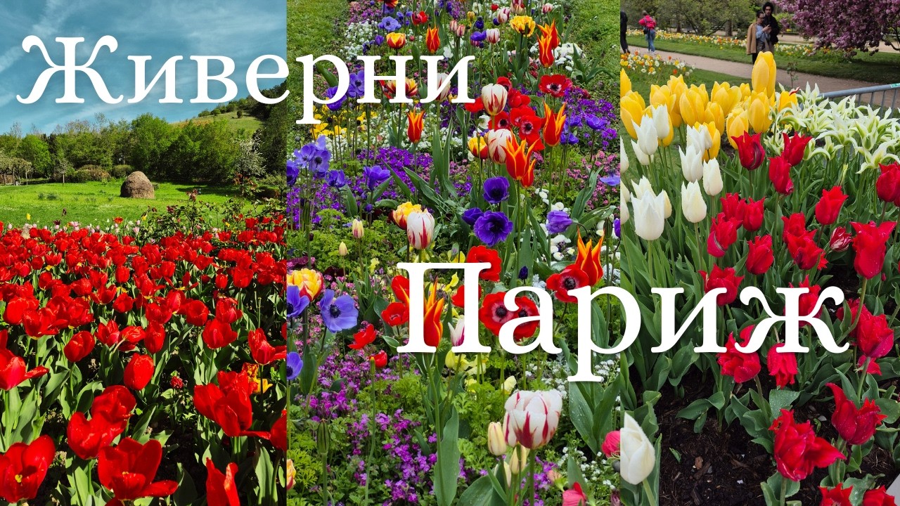 ПРОГУЛКА СРЕДИ ТЮЛЬПАНОВ. Живерни +  Париж