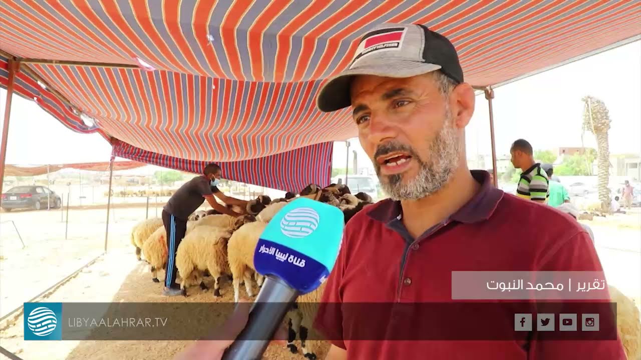 بلدية طرابلس تخصص منطقة سوق الثلاثاء سوقاً للأغنام