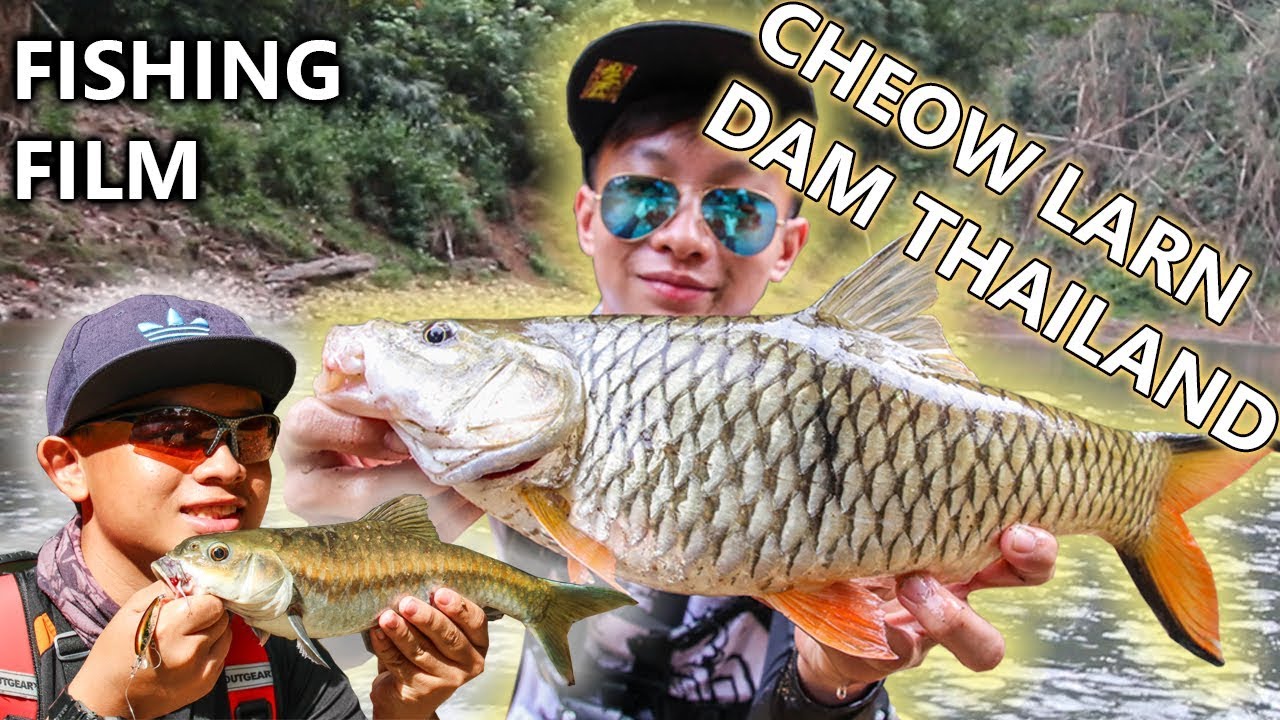 Cheow Lam Thailand River fishing(  เขื่อน Cheow lan) part 1