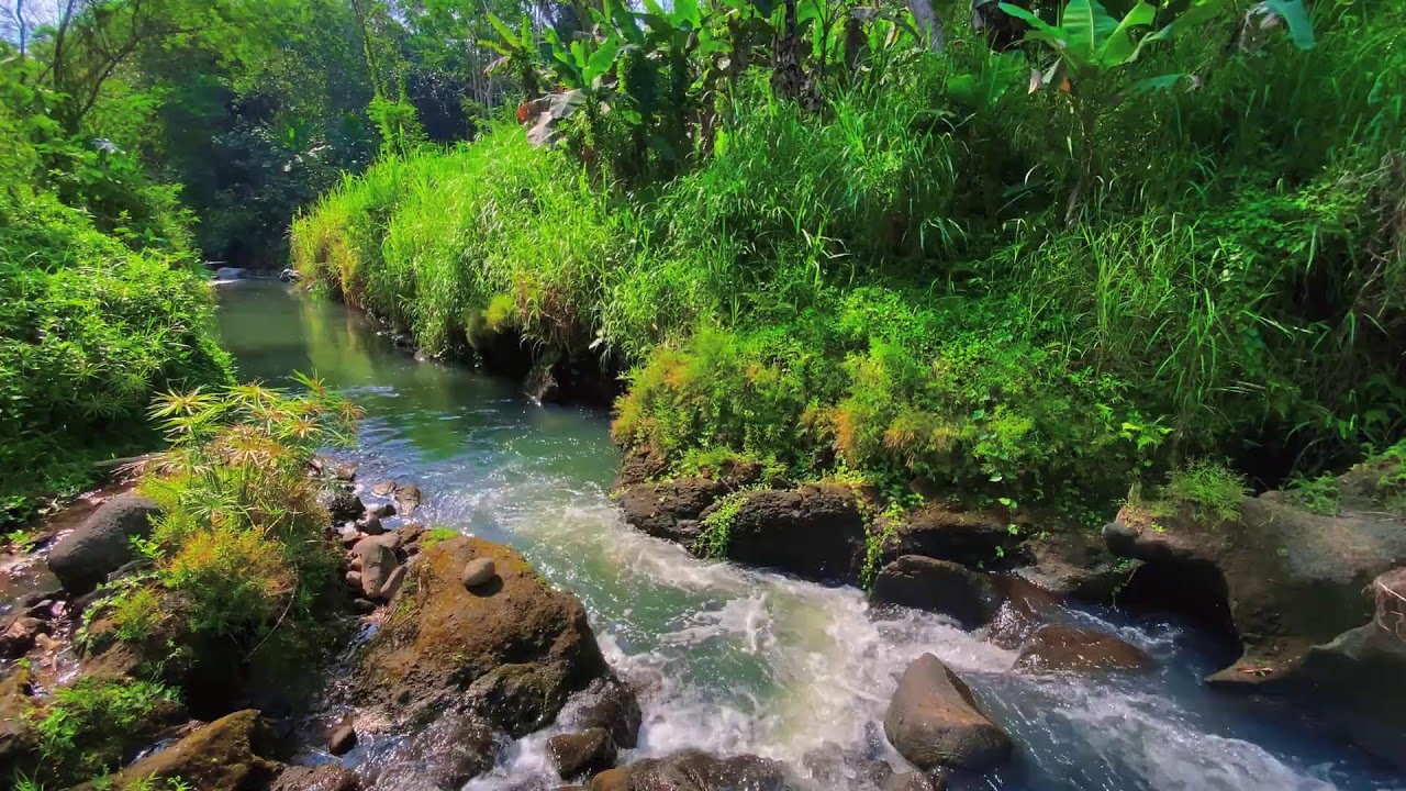 Calming River Sounds – 10 Hours of Natural ASMR for Focus & Anxiety Calm