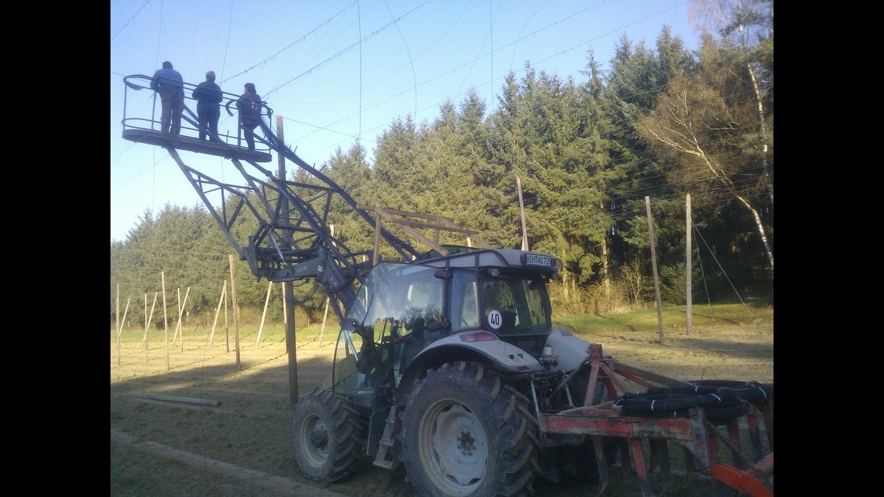 Żniwa chmielu