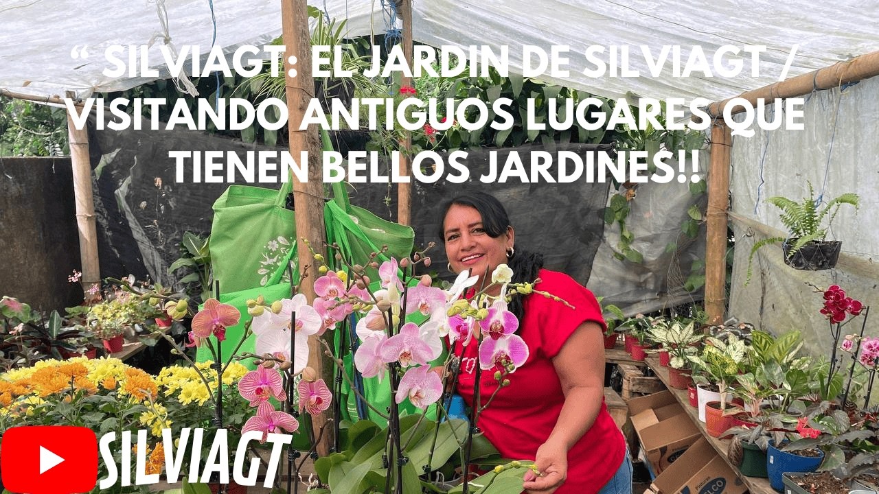 SILVIAGT: 