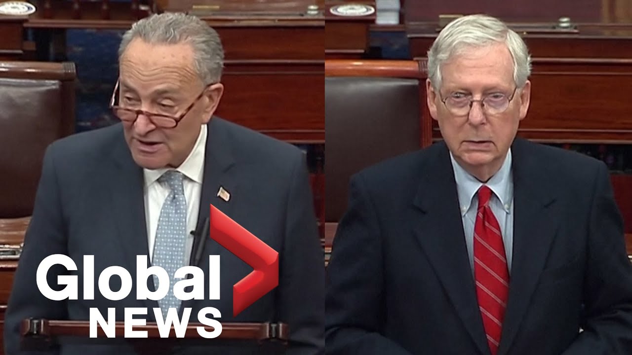 US election: McConnell, Schumer comment on voter fraud allegations