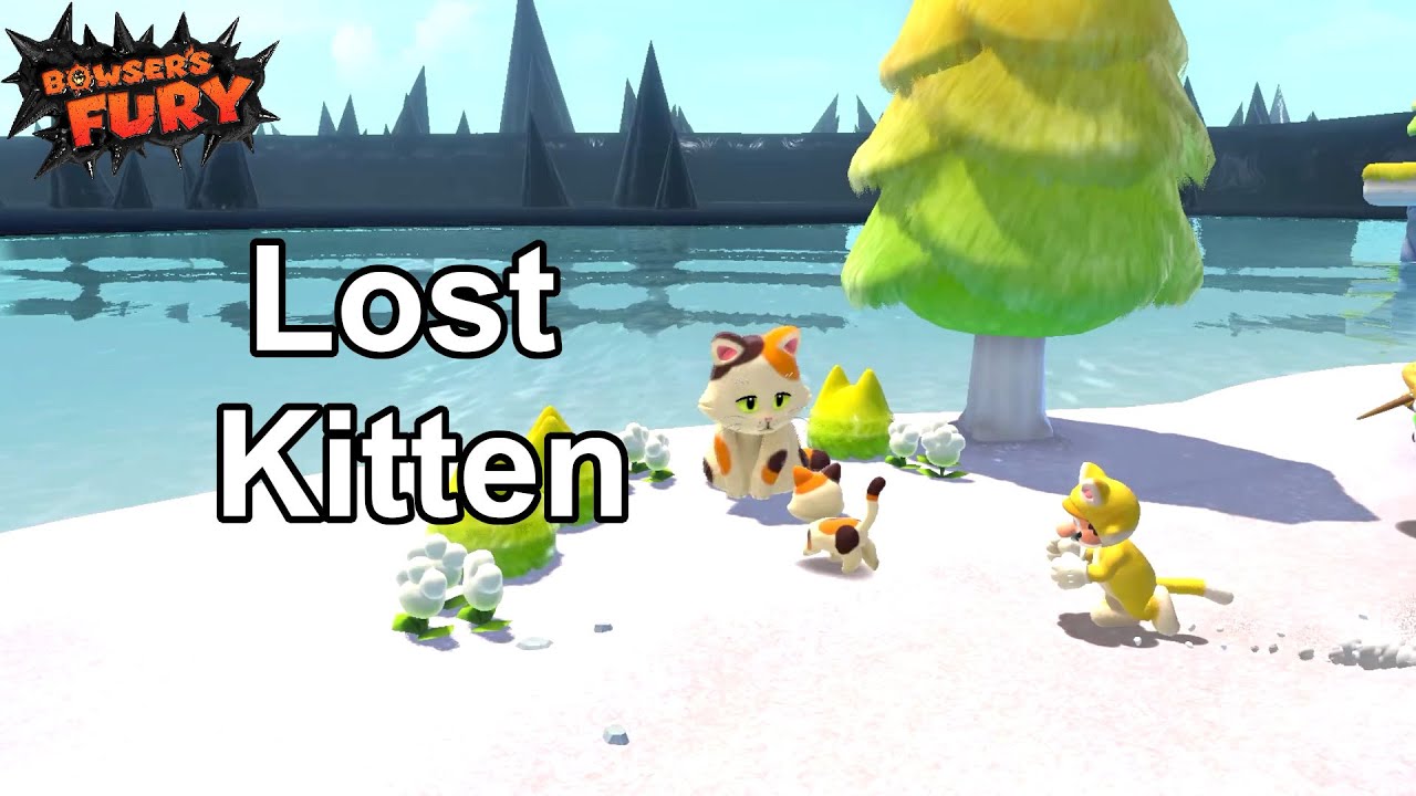 Reuniting a Family! | Bowser's Fury