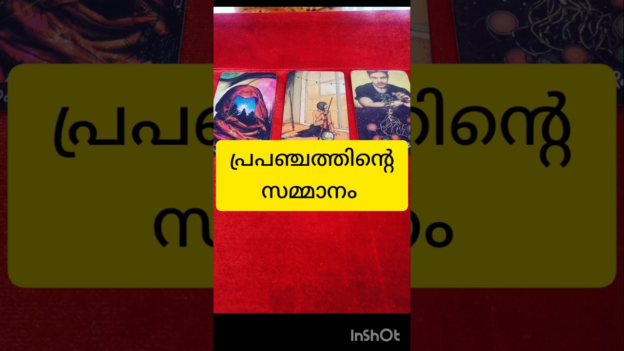 പ്രപഞ്ചത്തിന്റെ സമ്മാനം #tarot #shortvideo #shortsfeed