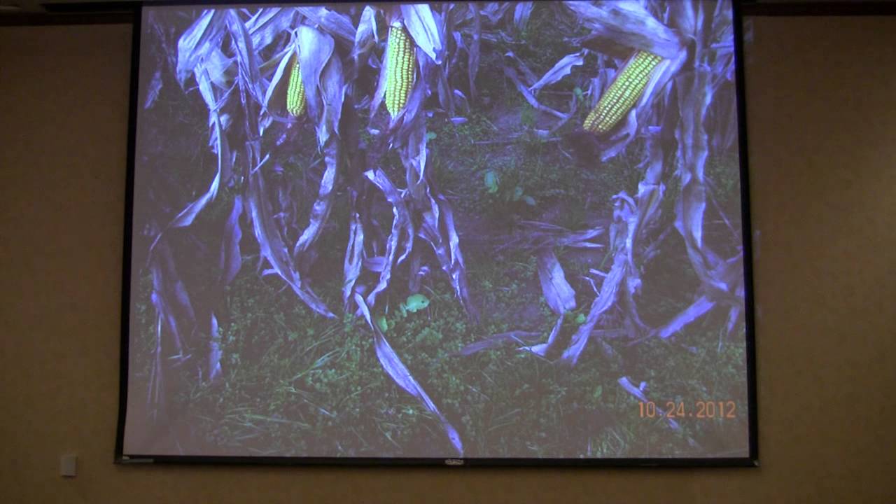 Farmer/Soil Health Adovcate Dave Brandt talks on why Soil Health is Important