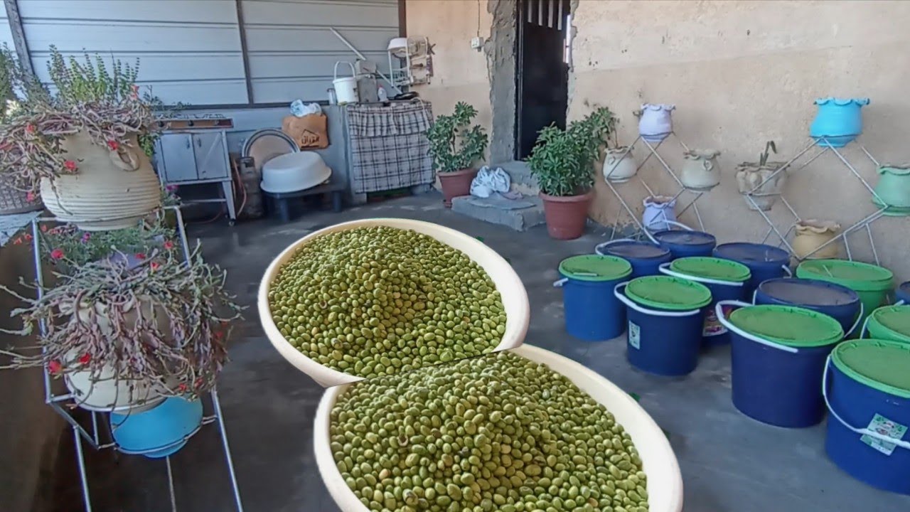 اول بشاير مشروع العمر مع جوزي👩‍🍳يارب جعلها بشاير خير ورزق