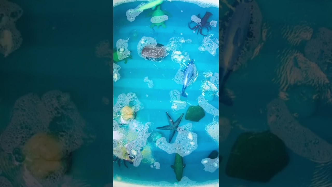 Ocean Jello Tutorial #kidsactivities #jellosensory #sensoryactivity #toddleractivities