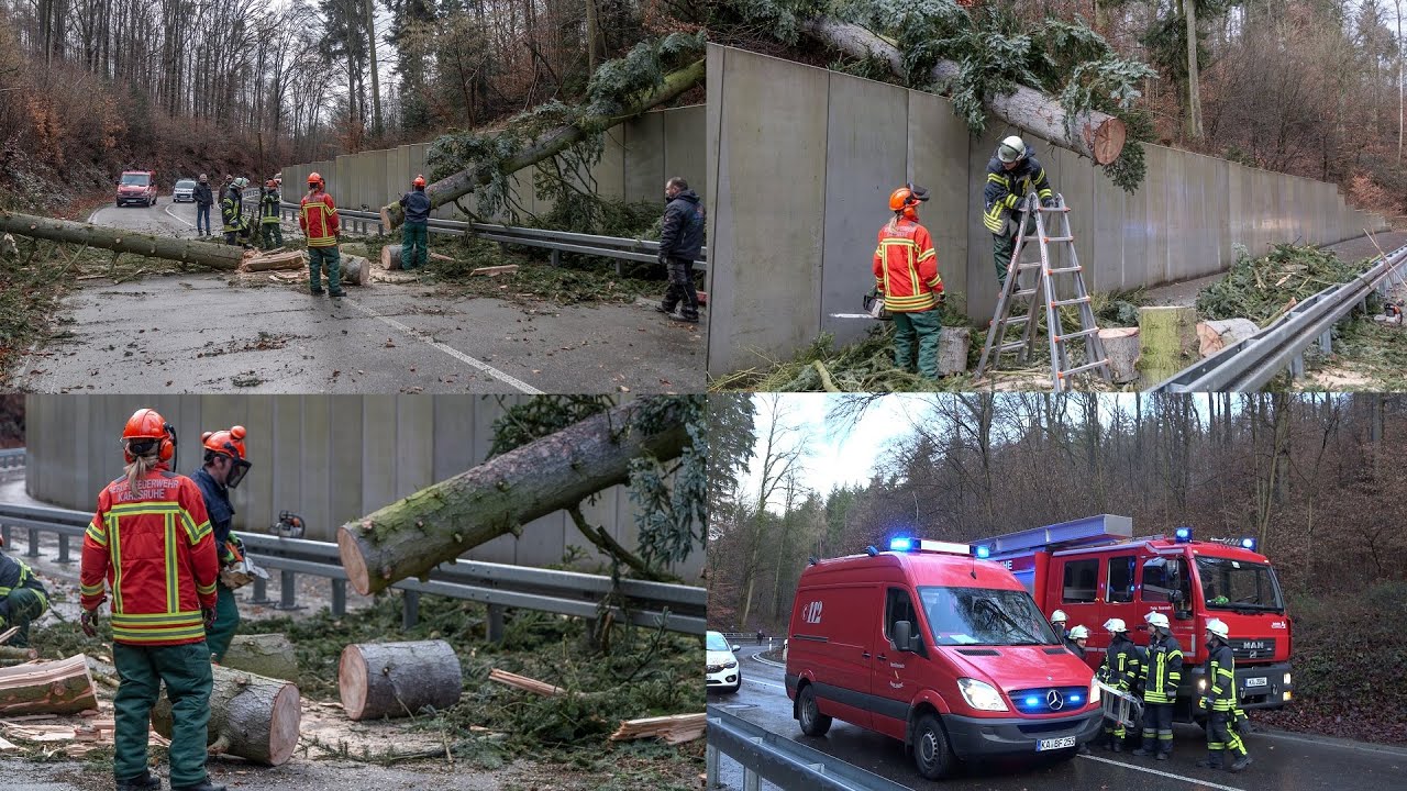 ++ STURMTIEF LOLITA ÜBER KARLSRUHE ++ GROSSE TANNE STÜRZT UM ~ FEUERWEHR KARLSRUHE im EINSATZ