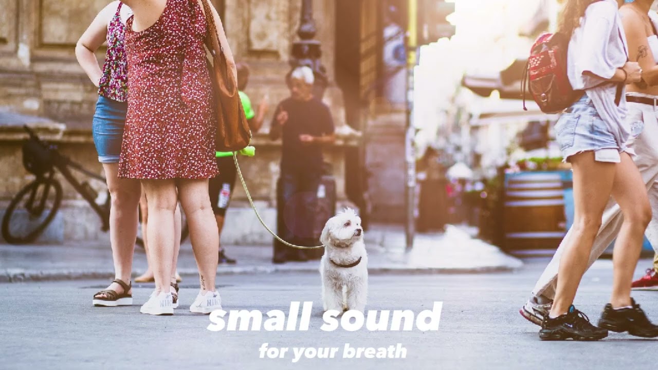 🎧 small sound playlist | Pop, Jazz | “방금 전까지 출근 중이었는데… 여긴 어디죠?”