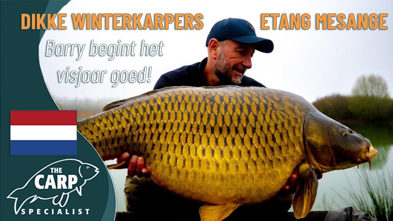 Karpervissen in Frankrijk op betaalwater Goncourt Lakes - Etang Mésange!