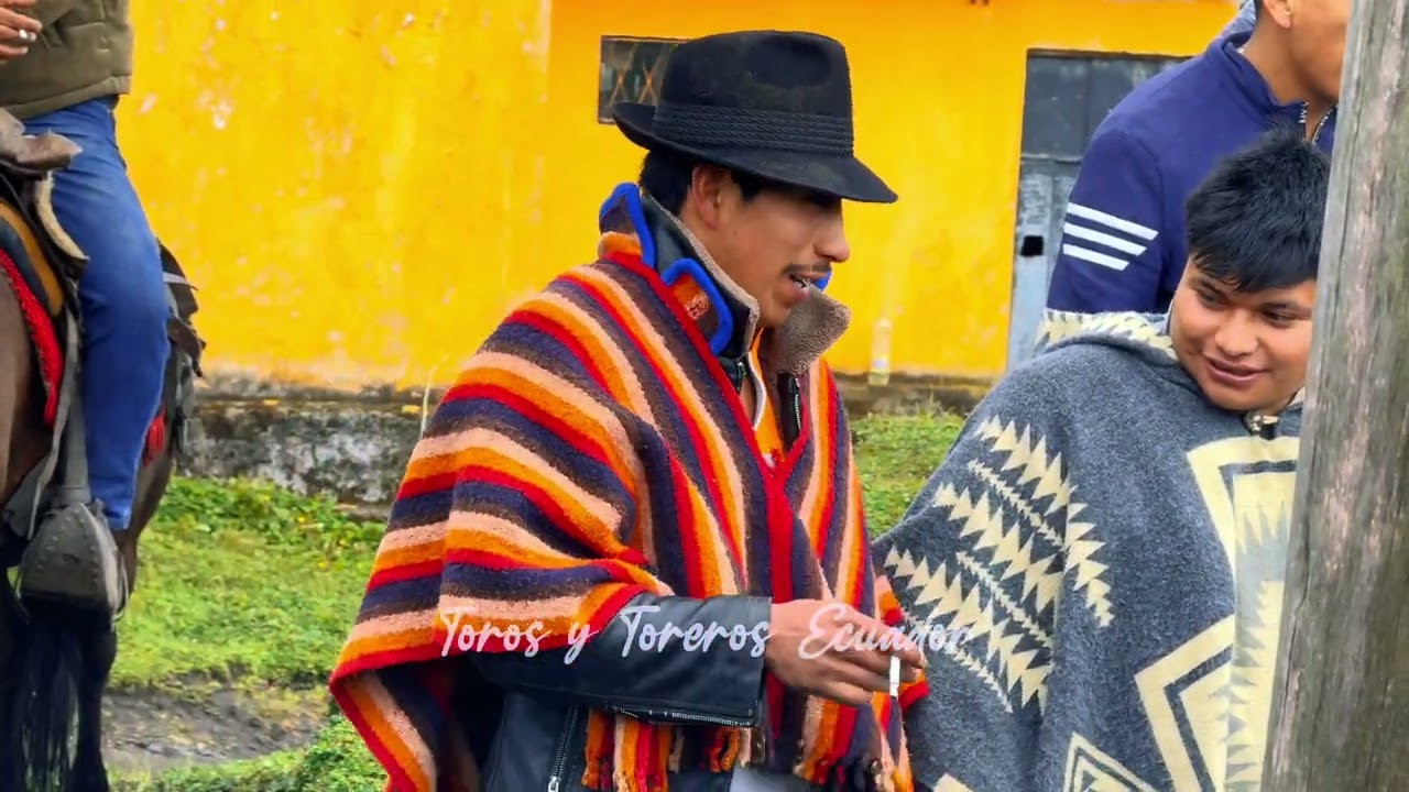 EMBARQUE DE LOS TOROS BRAVOS.