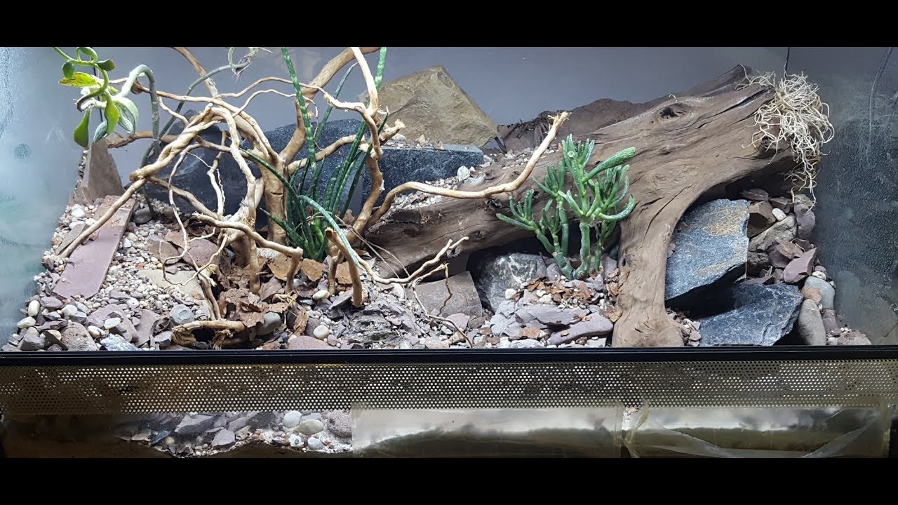 Leopardgecko Terrarium von Kai Uwe Volta