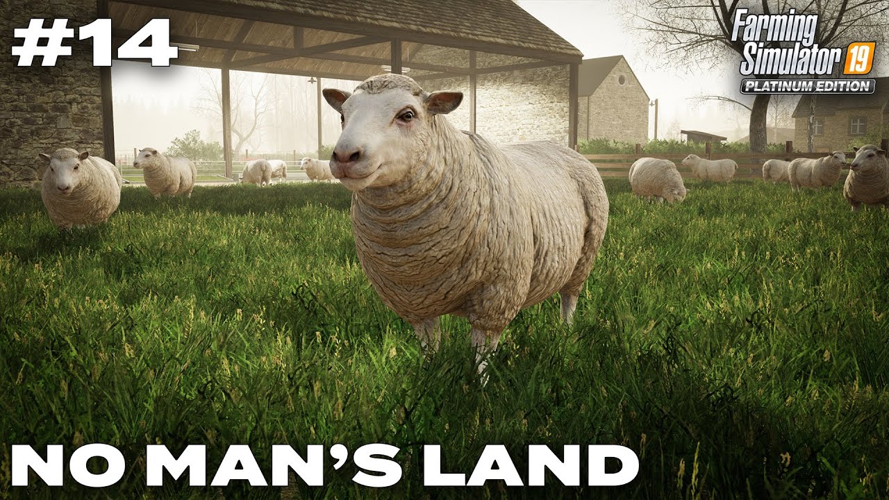 Building The Sheep Farm & Buying Sheep - No Man's Land #14 Farming Simulator 19 Timelapse