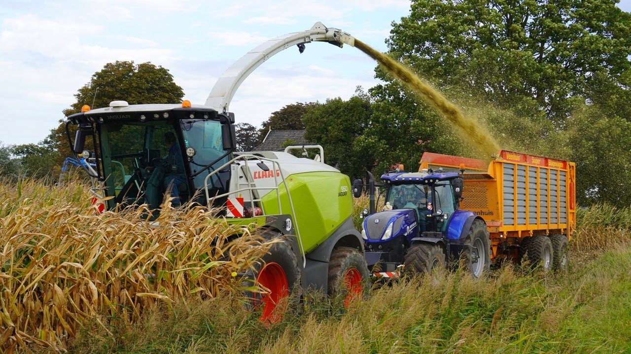 Mais 2025 | Claas | New Holland T7.245 | Fendt 720 | Panhuis Nijbroek | Maishakselen | Mais silage