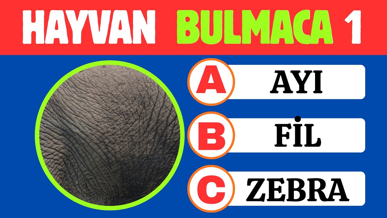 DERİSİNDEN HAYVANI TAHMİN ET? - Hayvan Bulmaca Zor [20 Soru]