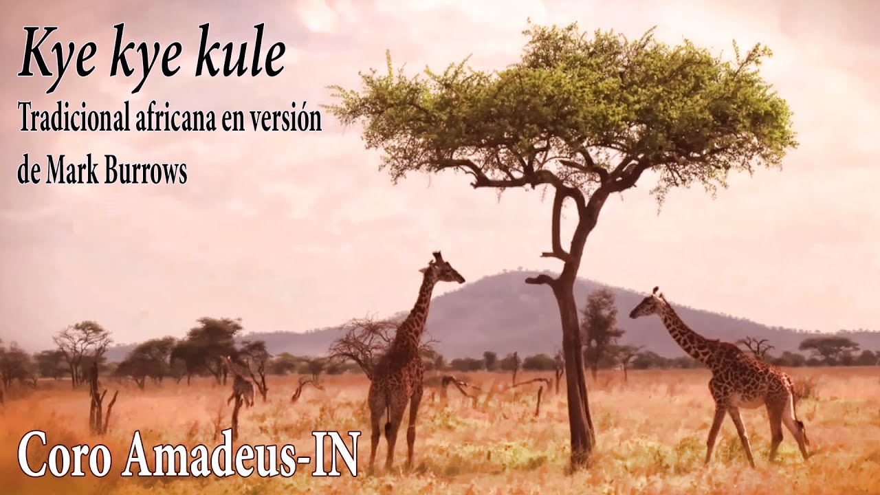 Kye kye kule · M. Burrows · Coro Amadeus-IN