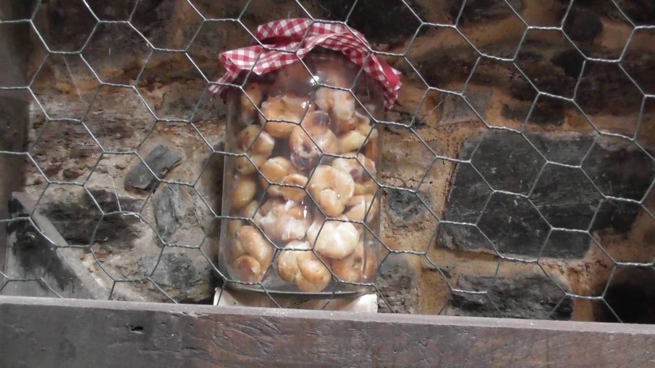 Furelos (Melide) A Coruña (Galicia)