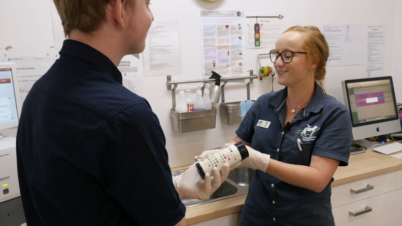 Harry learns how to perform a urine test