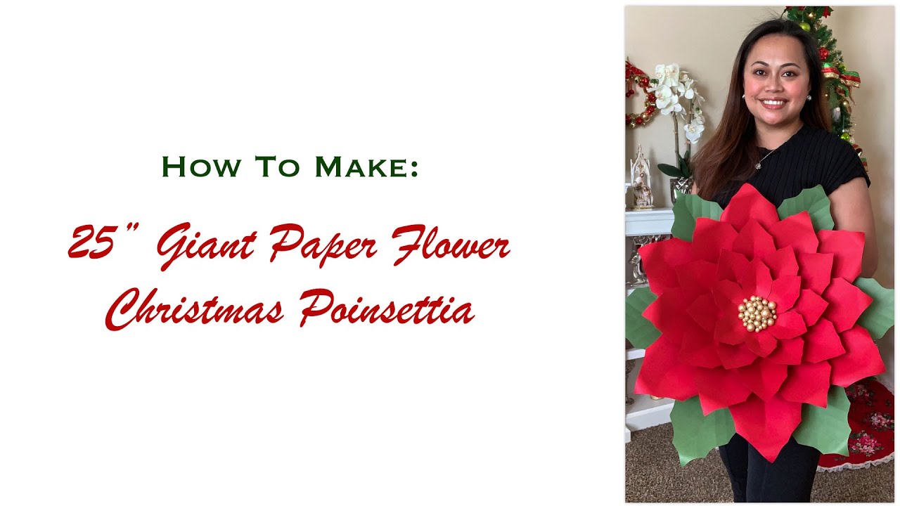 How to Assemble 25" Giant Paper Flower Christmas Poinsettia