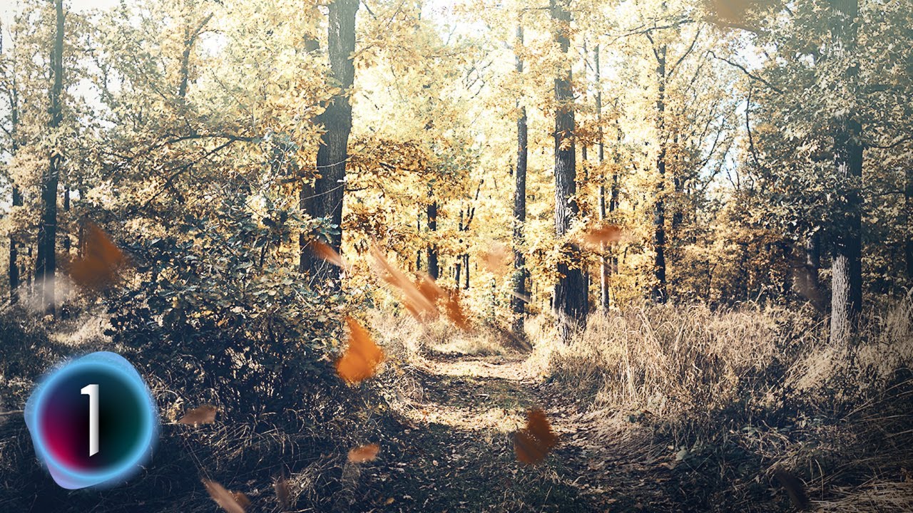 Capture One Pro CLONE STAMP - how to add objects in a photo