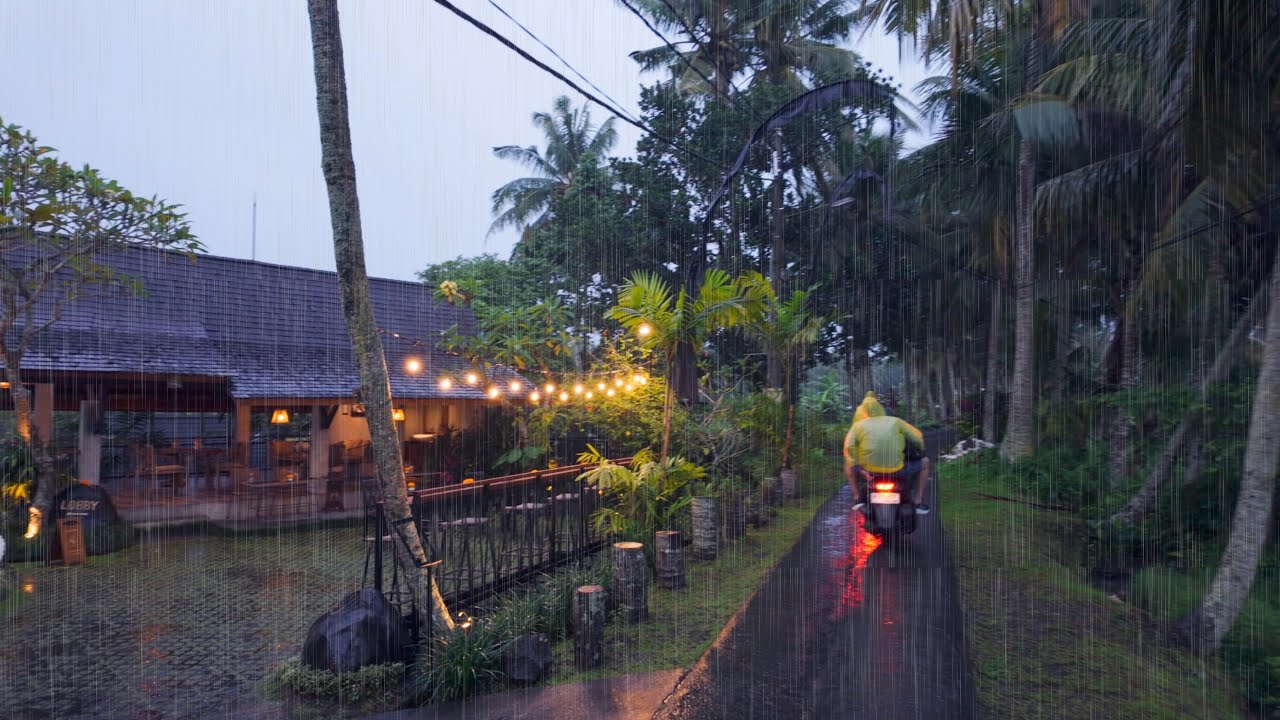 Rain Walk in Ubud — Soft Umbrella Rain & Narrow Rice Terrace Paths (4K)
