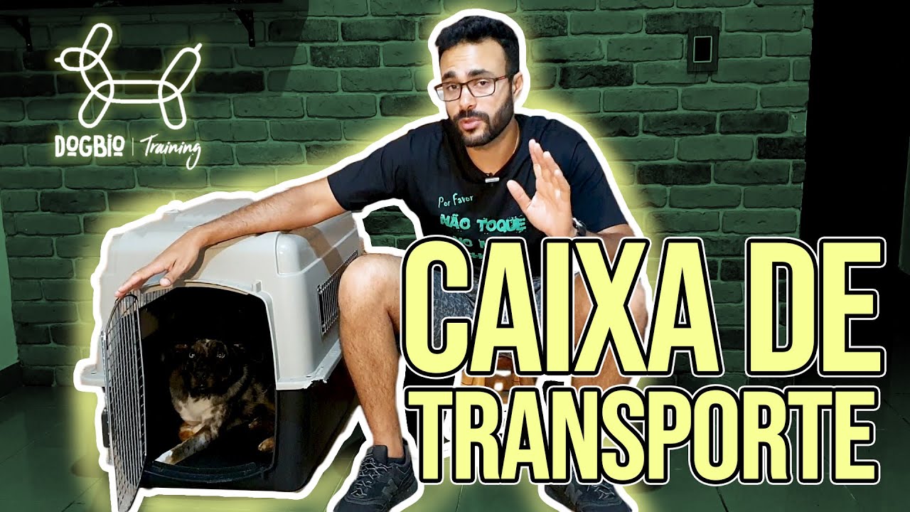 Caixa de transporte, o que você precisa saber. - O seu cão gosta? [DogBio Training]