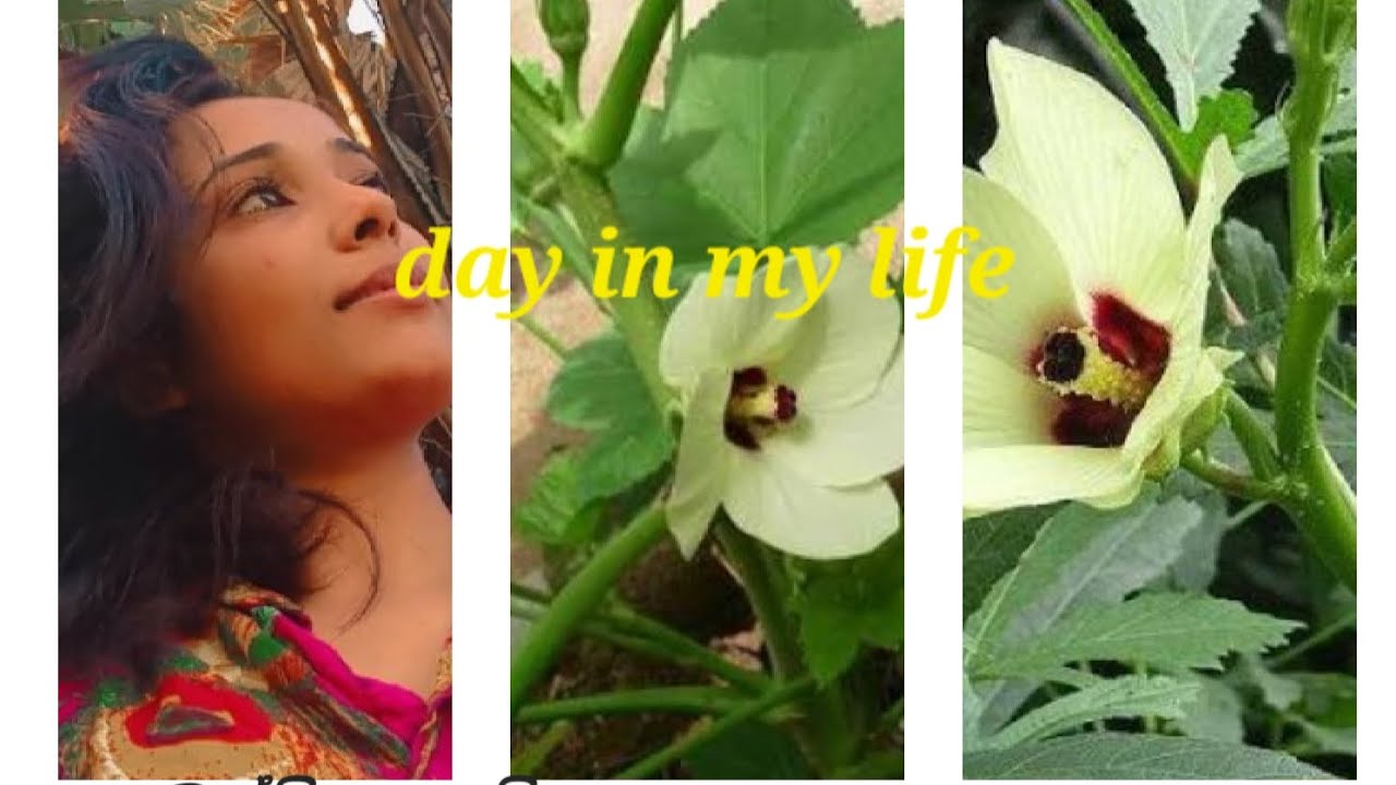 එන්න යමු බන්ඩි ගොයම් බලන්න 🥰