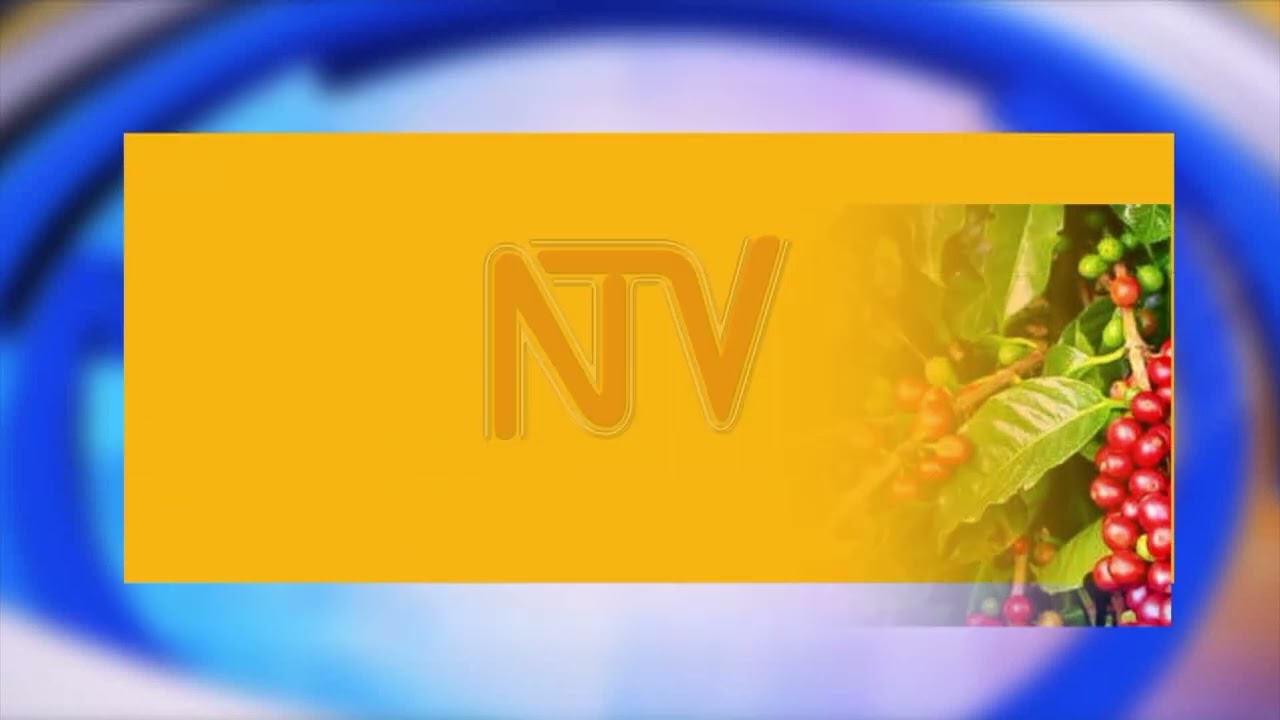 Daily Coffee prices | NTVNews