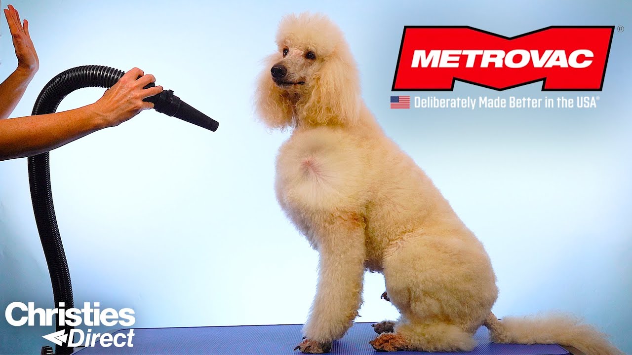 MetroVac | Powerful Pet Dryers and Blasters for Your Salon