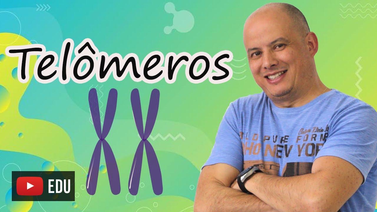 Telômeros I Relação com o envelhecimento celular