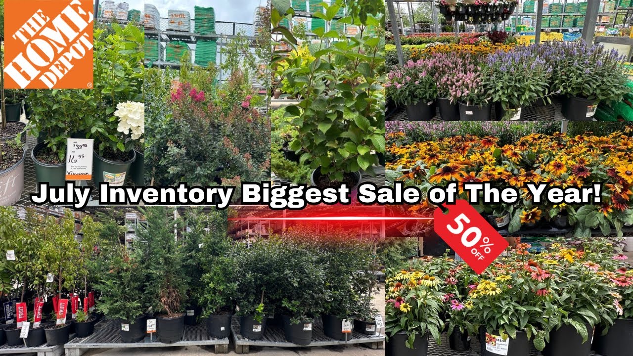 Home Depot Garden Center Clearance Sale! Hydrangeas Rhododendron Crepe Myrtle Roses Trees #gardening